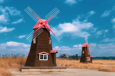 棕色和粉色风车